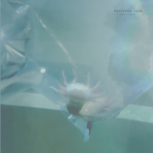 男女交接性生活视频大全
